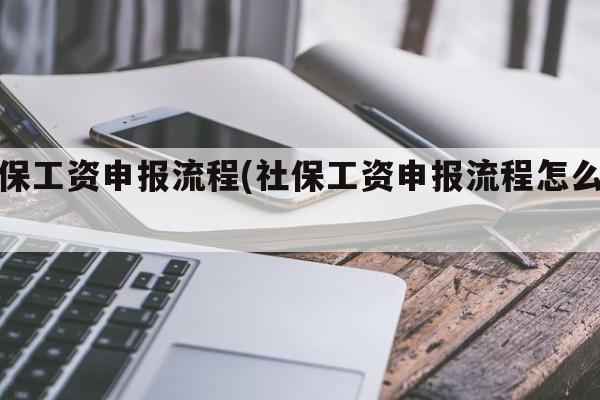 社保工资申报流程(社保工资申报流程怎么填)