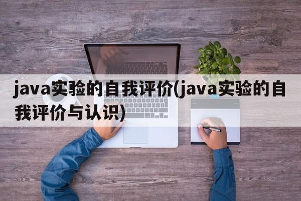 java实验的自我评价(java实验的自我评价与认识)